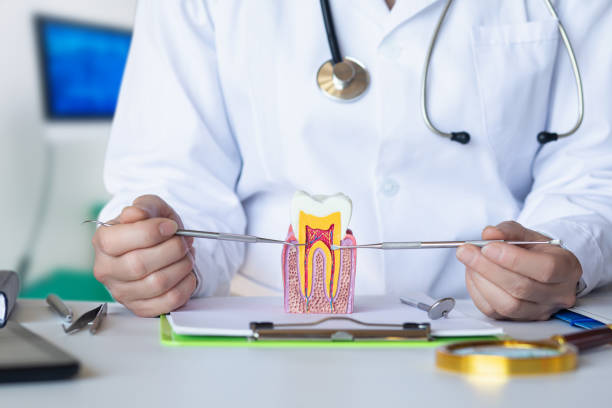 Best Weekend Emergency Dentist in Forestville, OH